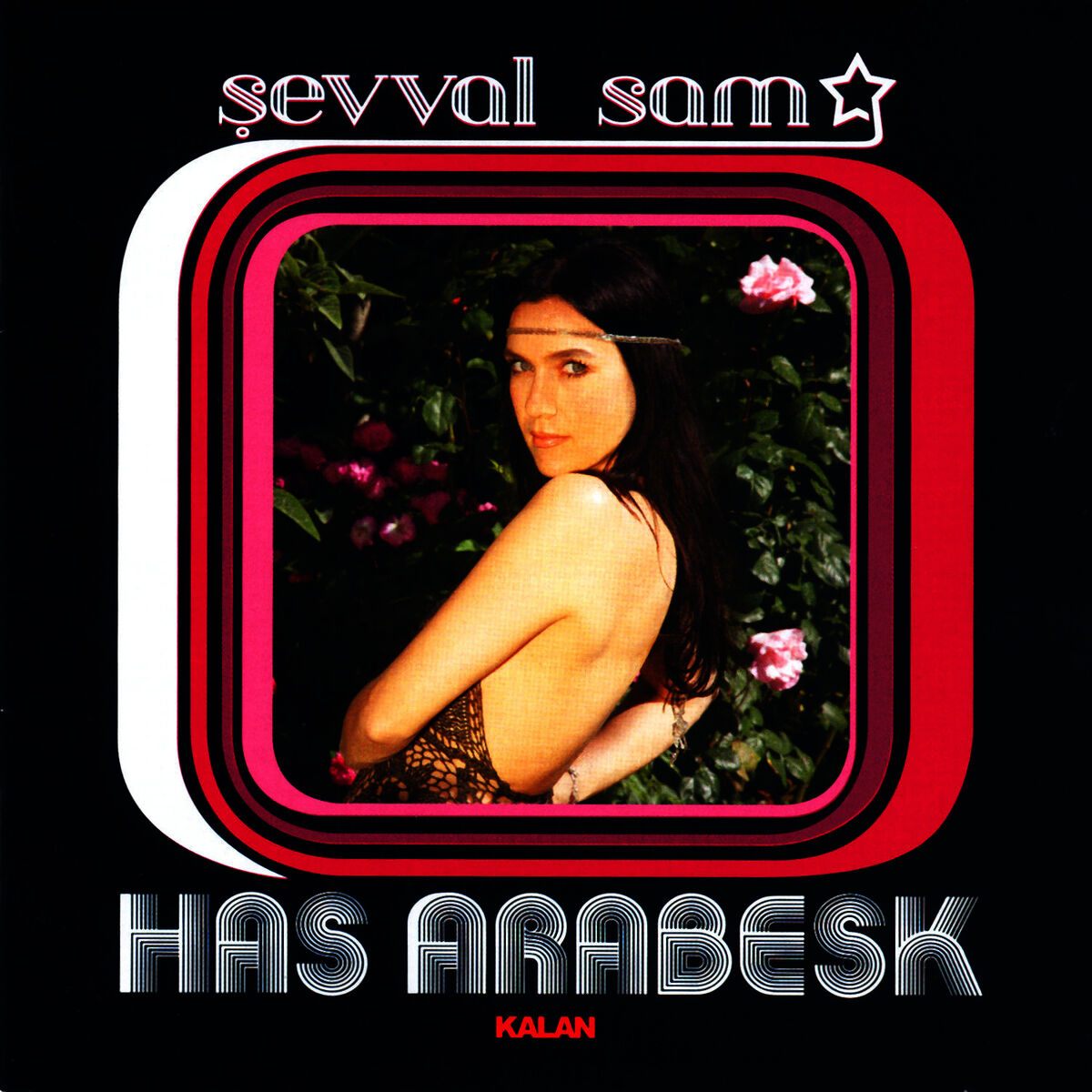Album cover of Yalnızım Dostlarım