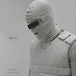Cover of Secrets