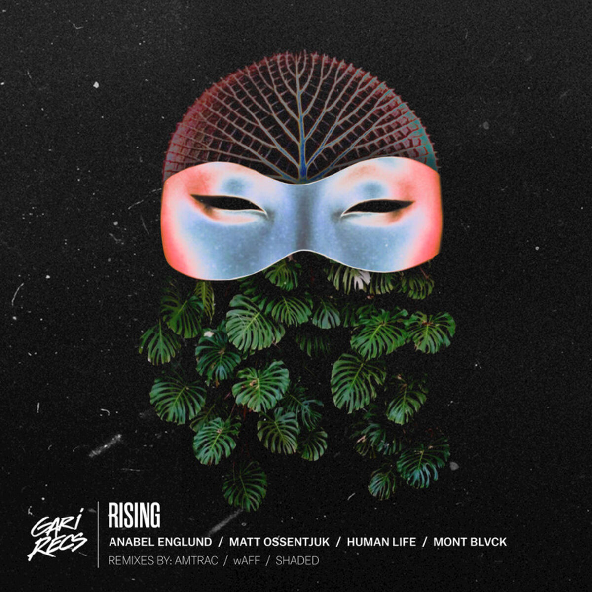 Album cover of Rising