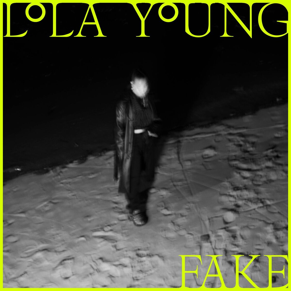 Album cover of FAKE