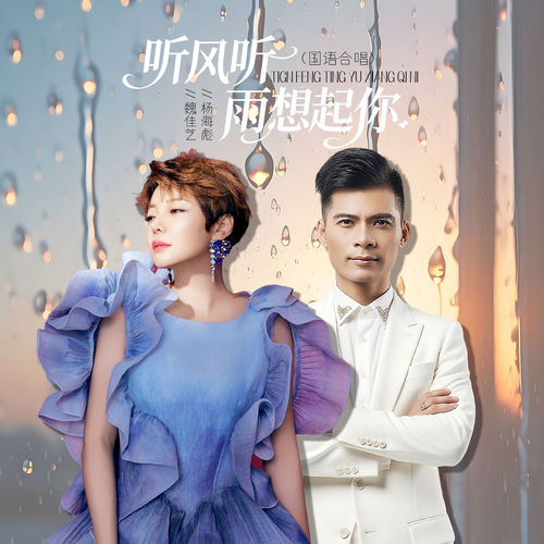听风听雨想起你 (DJEva合唱版)