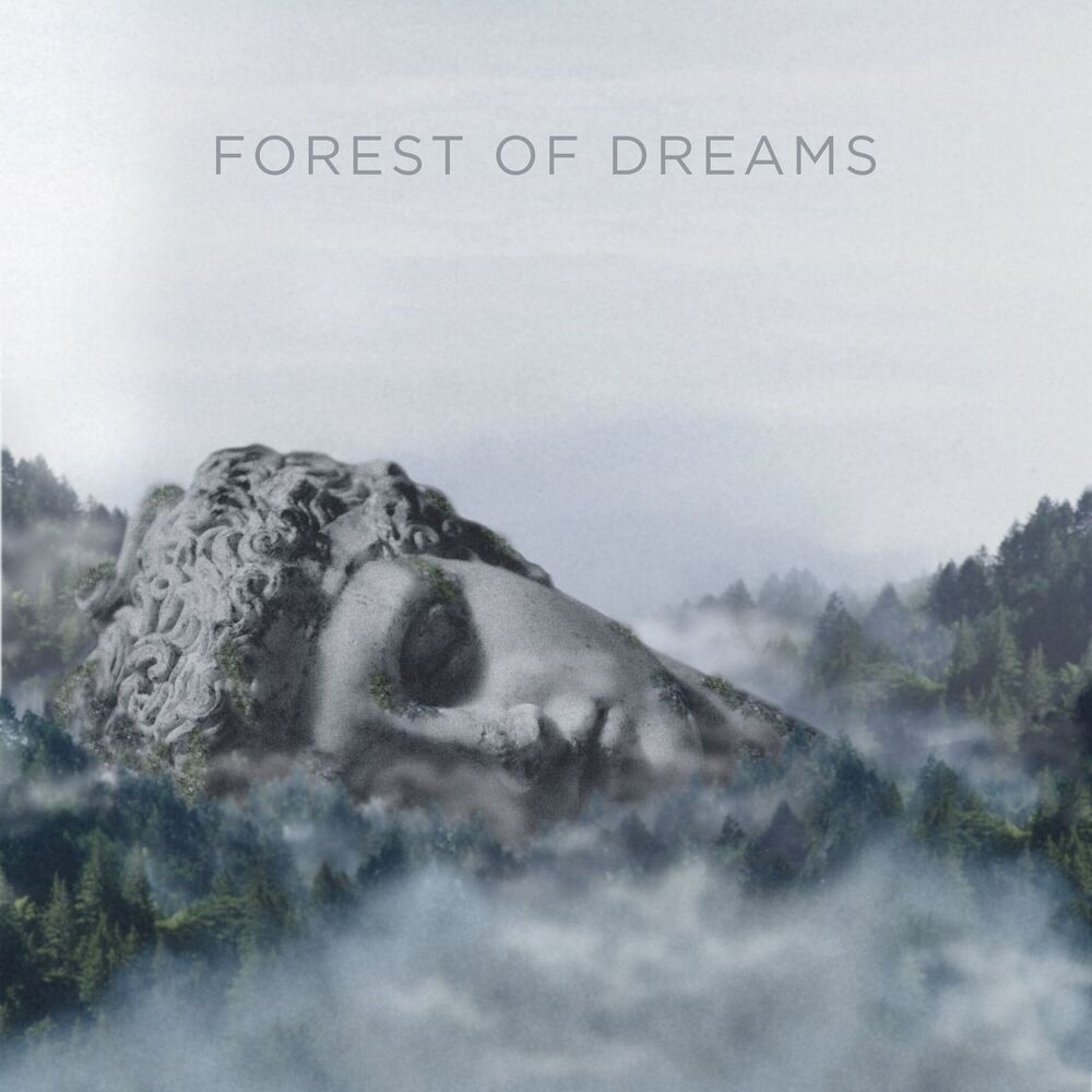 Picture of Forest Of Dreams