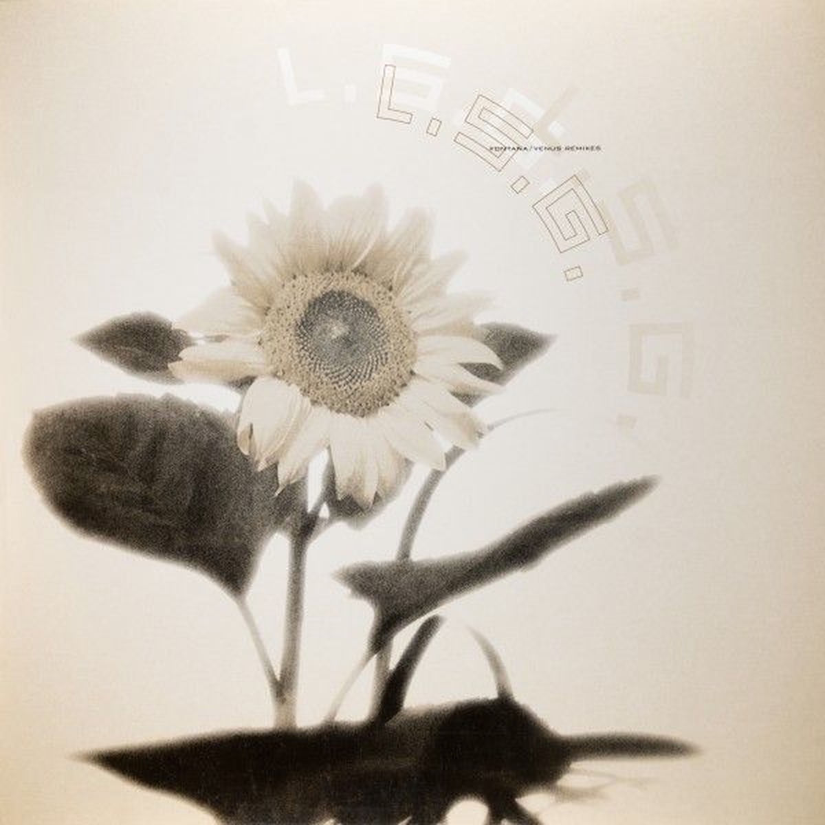 Album cover of The Hidden Sun Of Venus