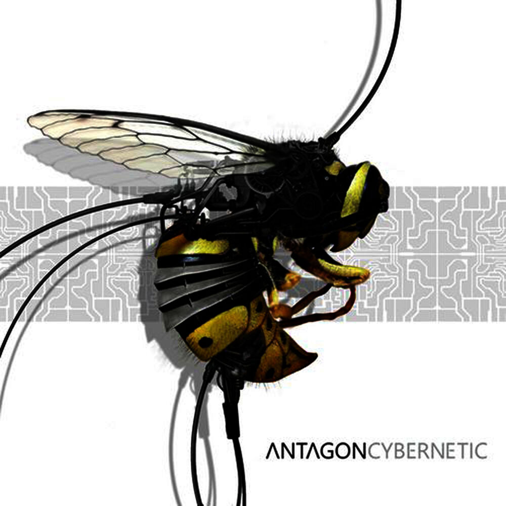 Picture of Cybernetic