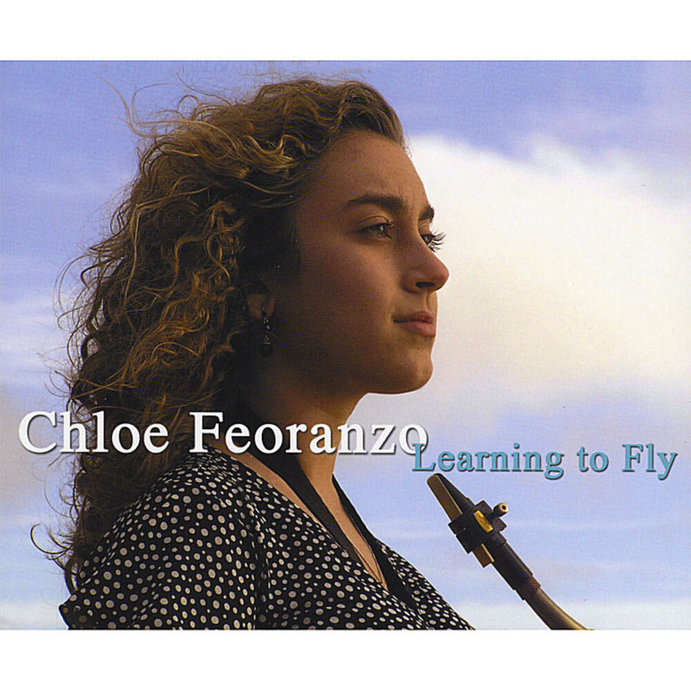 Picture of Learning To Fly