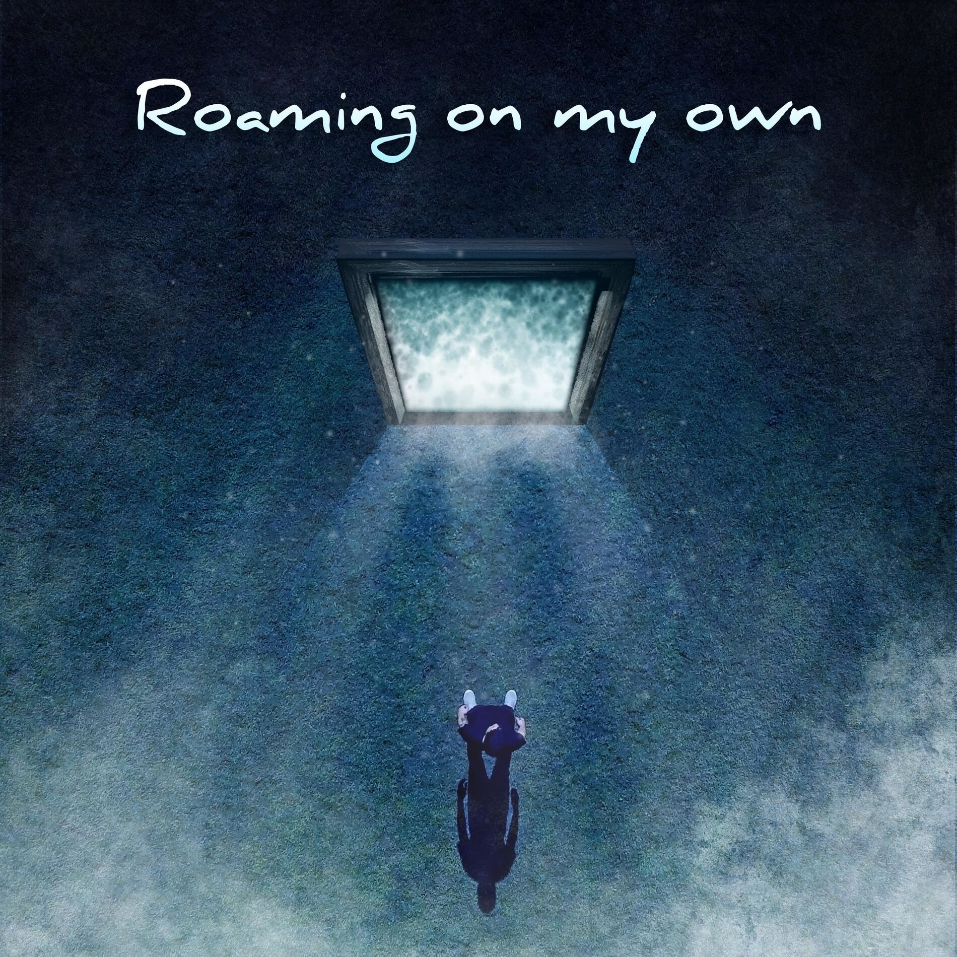 Album cover of Roaming On My Own