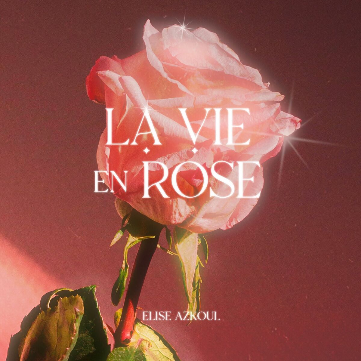 Album cover of La Vie En Rose