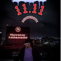 Cover of 11: 11