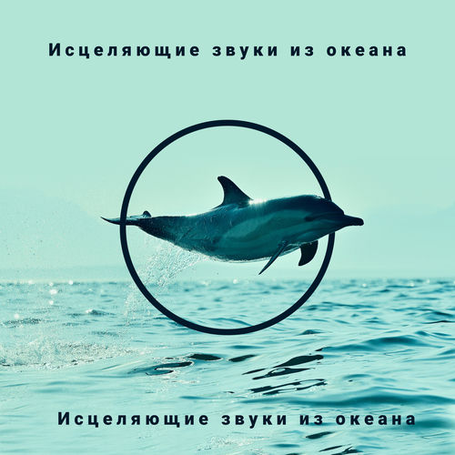 Исцеляющие звуки из океана: Расслабляющая музыкальная терапия, Волны, чайки, дельфины