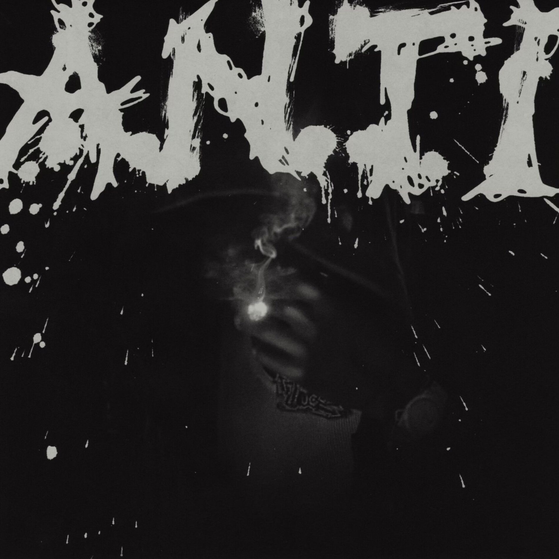 Album cover of Anti