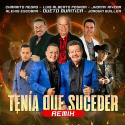 Cover of Tenía Que Suceder (Remix)