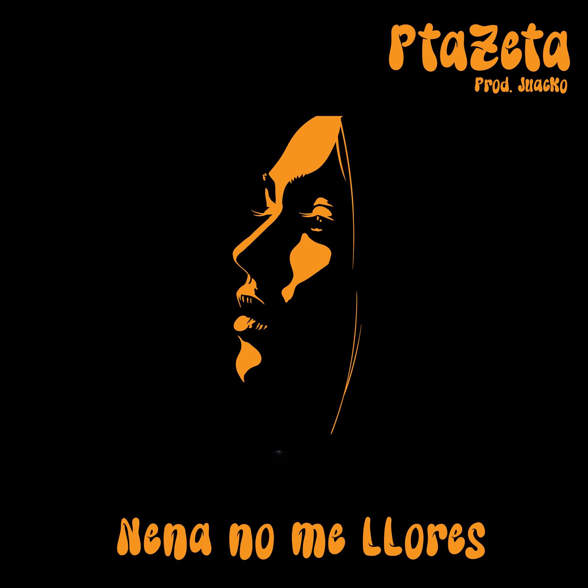 Album cover of Nena no me llores