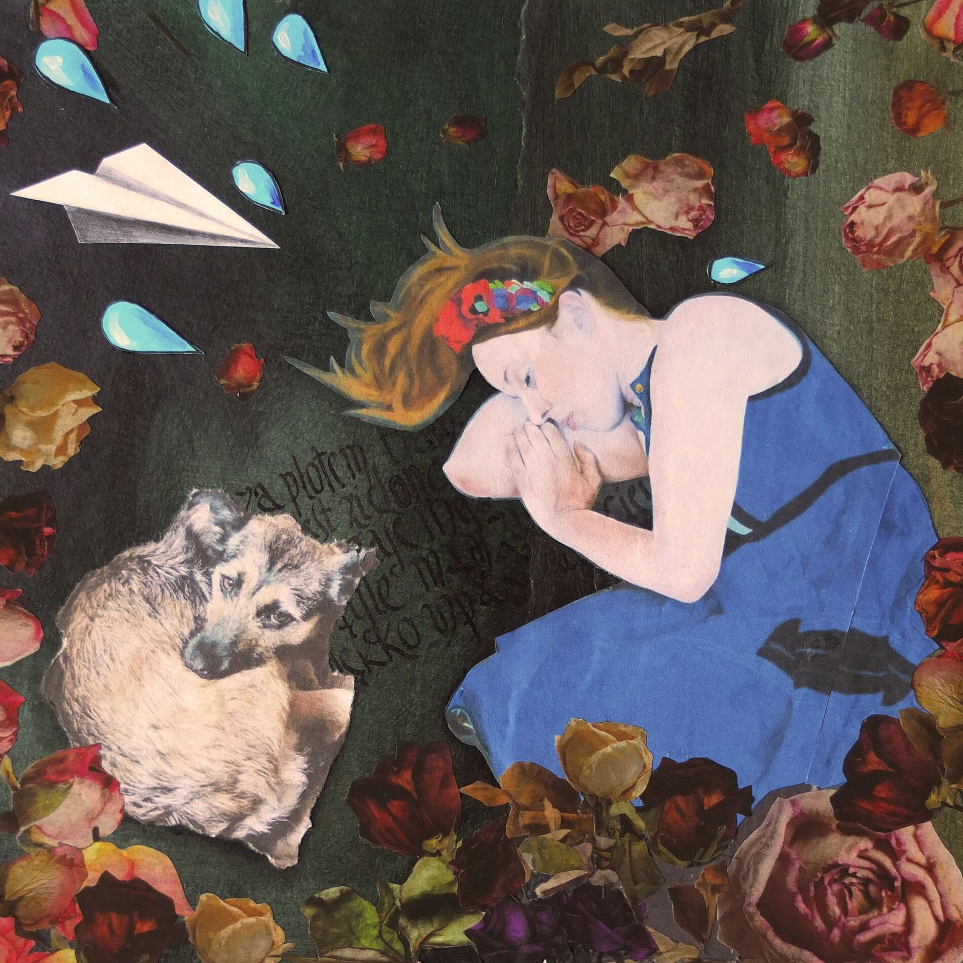 Album cover of Luty