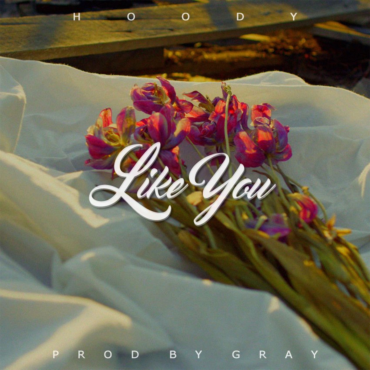 Album cover of Like You