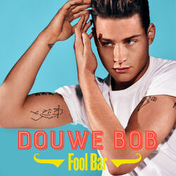 Cover of Fool Bar