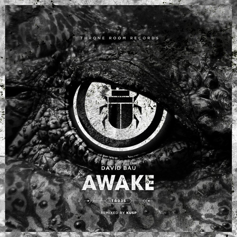 Picture of Awake