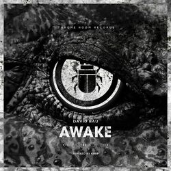 Cover of Awake