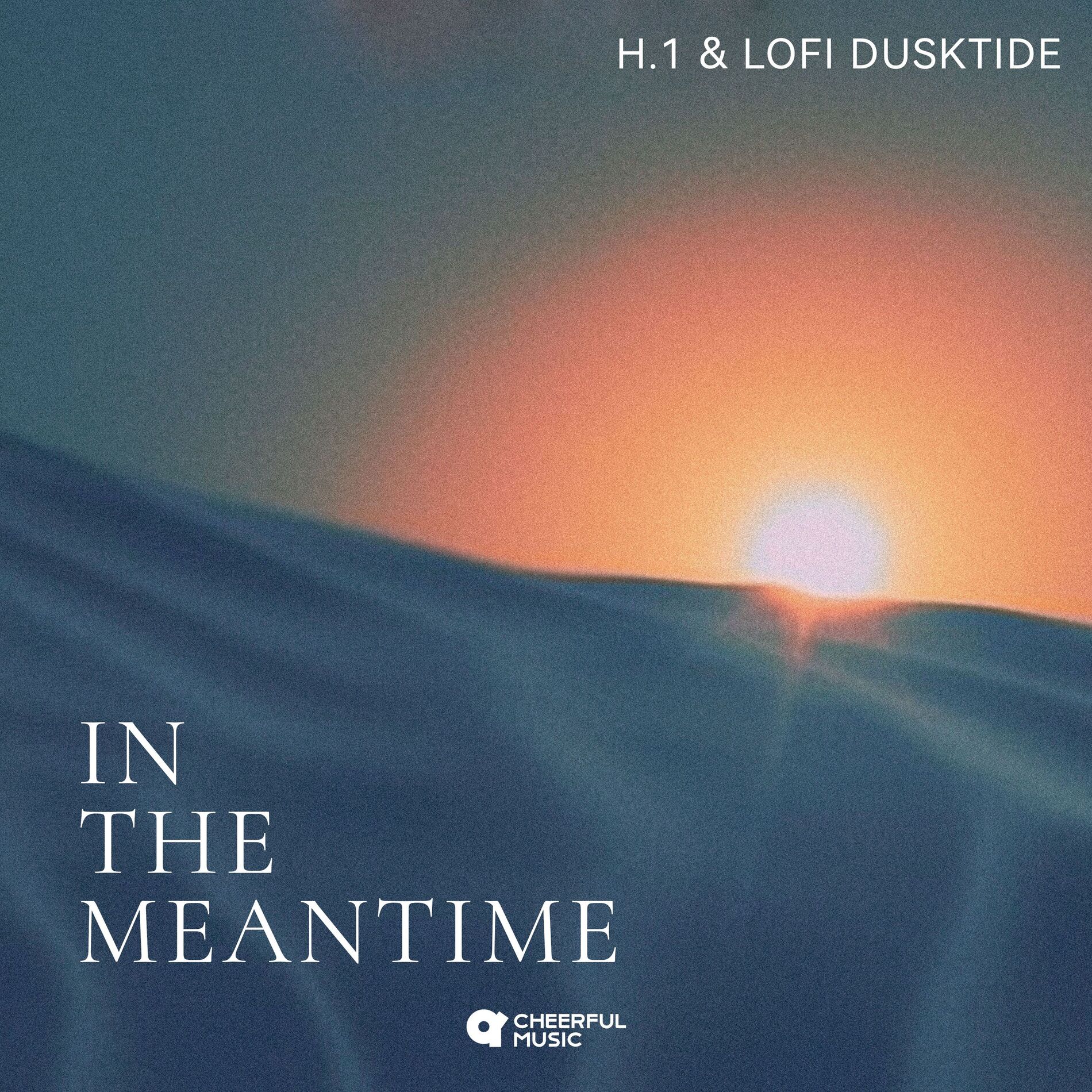 Album cover of in the meantime
