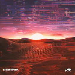 Cover of idk