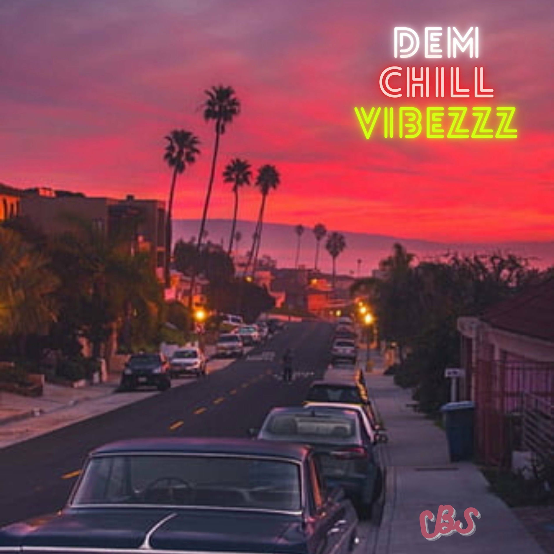 Album cover of Dem Chill Vibezzz