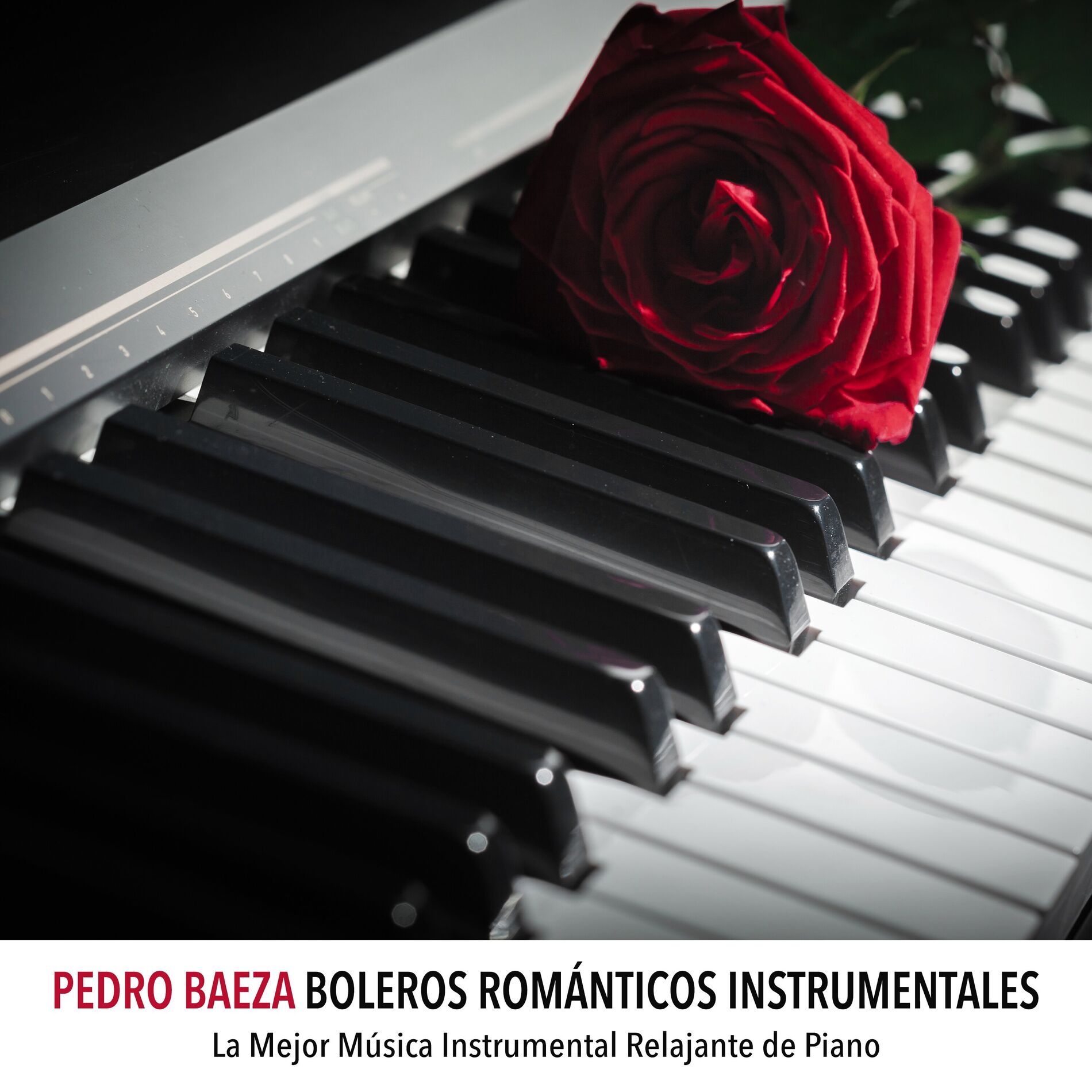 Album cover of Lágrimas Negras
