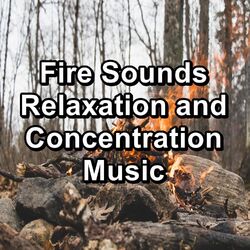 Cover of Fire Sounds Relaxation and Concentration Music