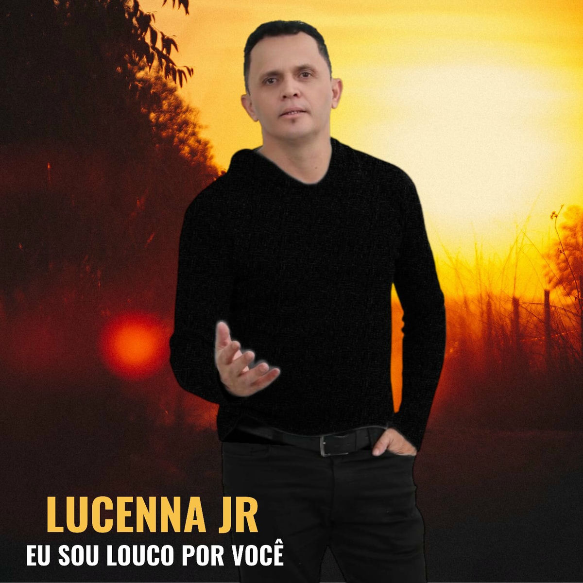 Album cover of Eu Sou Louco por Você