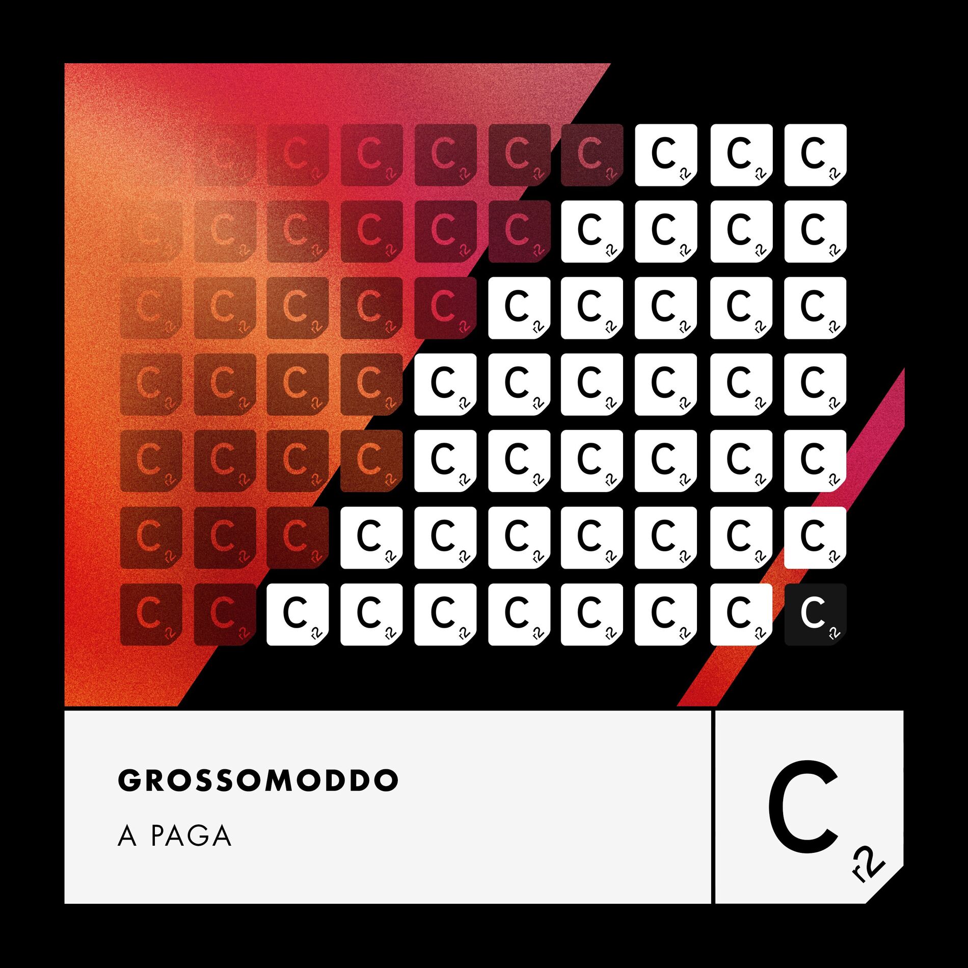 Album cover of A Paga