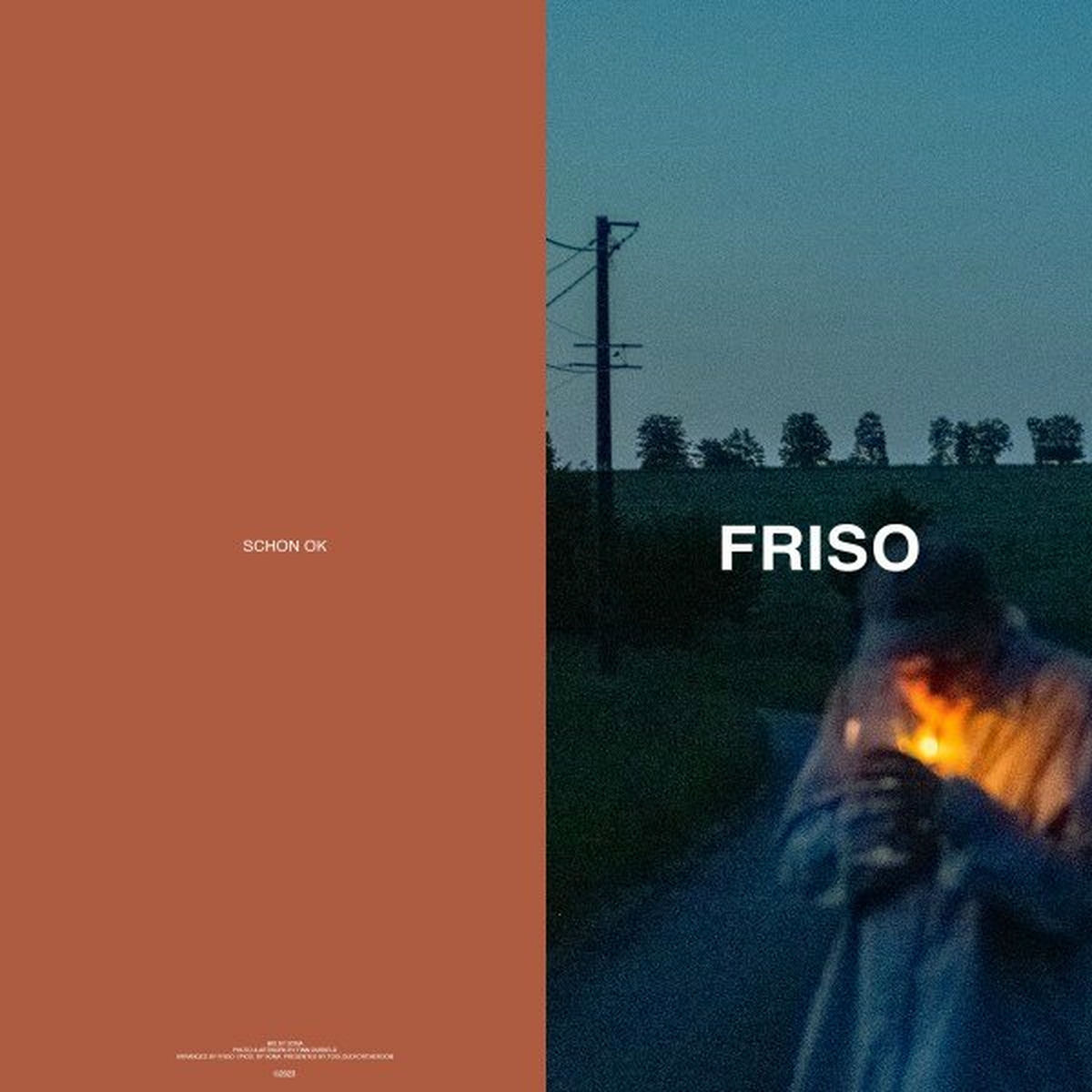Album cover of Schon Ok