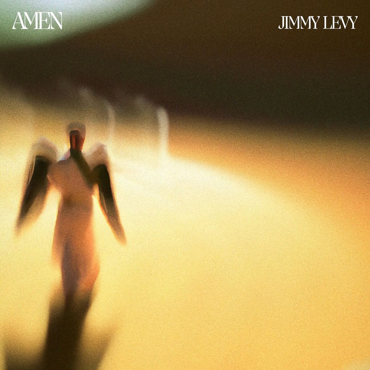 Album cover of Amen