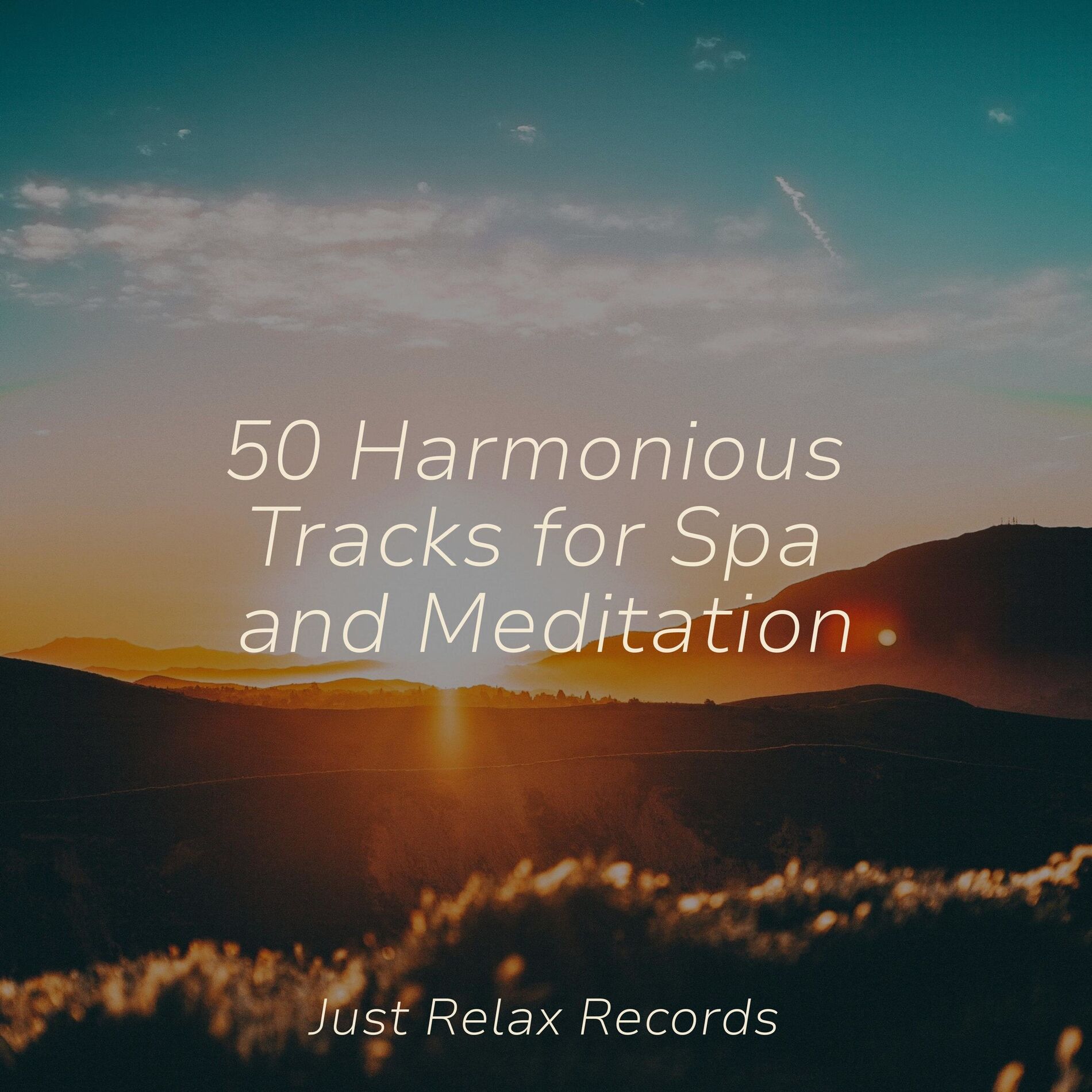 Album cover of 50 Harmonious Tracks for Spa and Meditation
