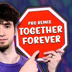 Cover of Together Forever