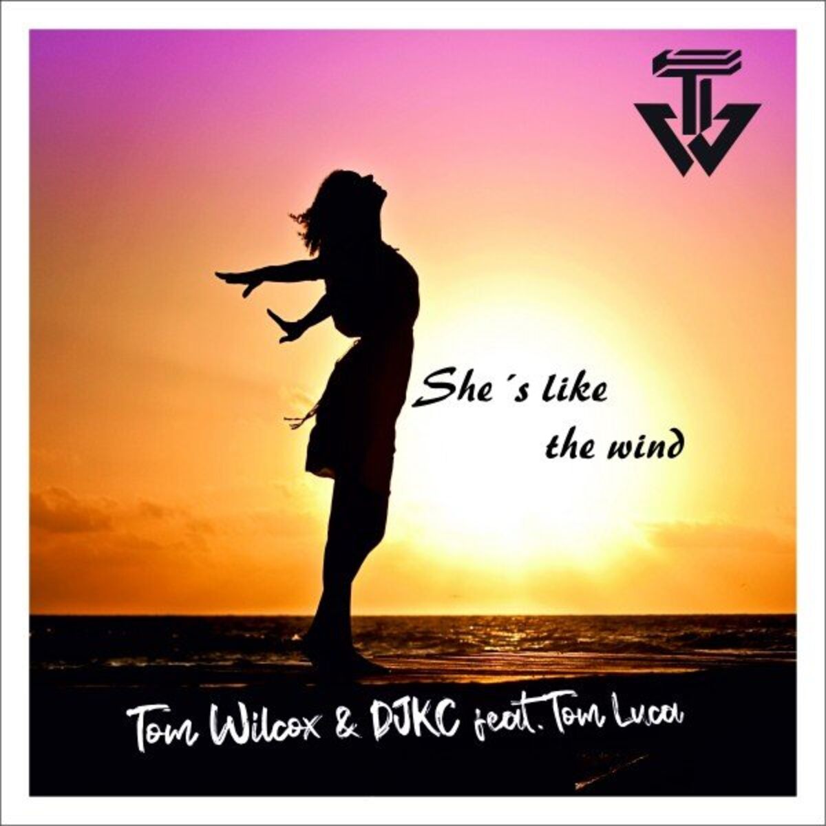 Album cover of She's Like the Wind