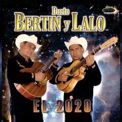 Cover of El 2020