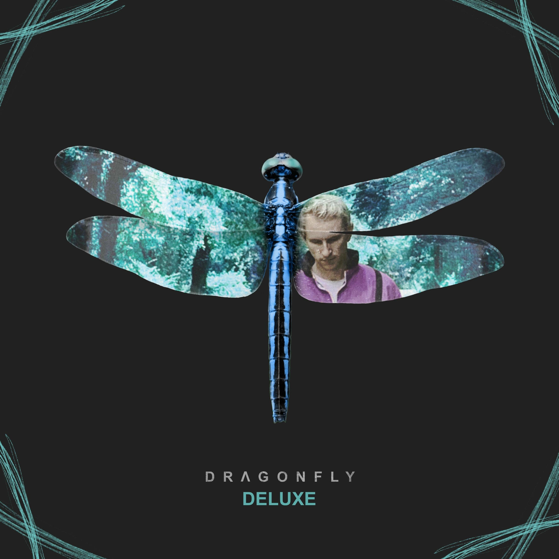 Album cover of Dragonfly (Deluxe)