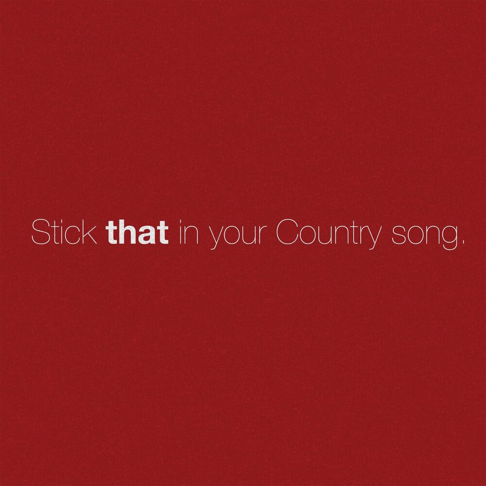 Picture of Stick That In Your Country Song