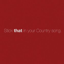 Cover of Stick That In Your Country Song