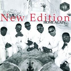 Cover of Home Again