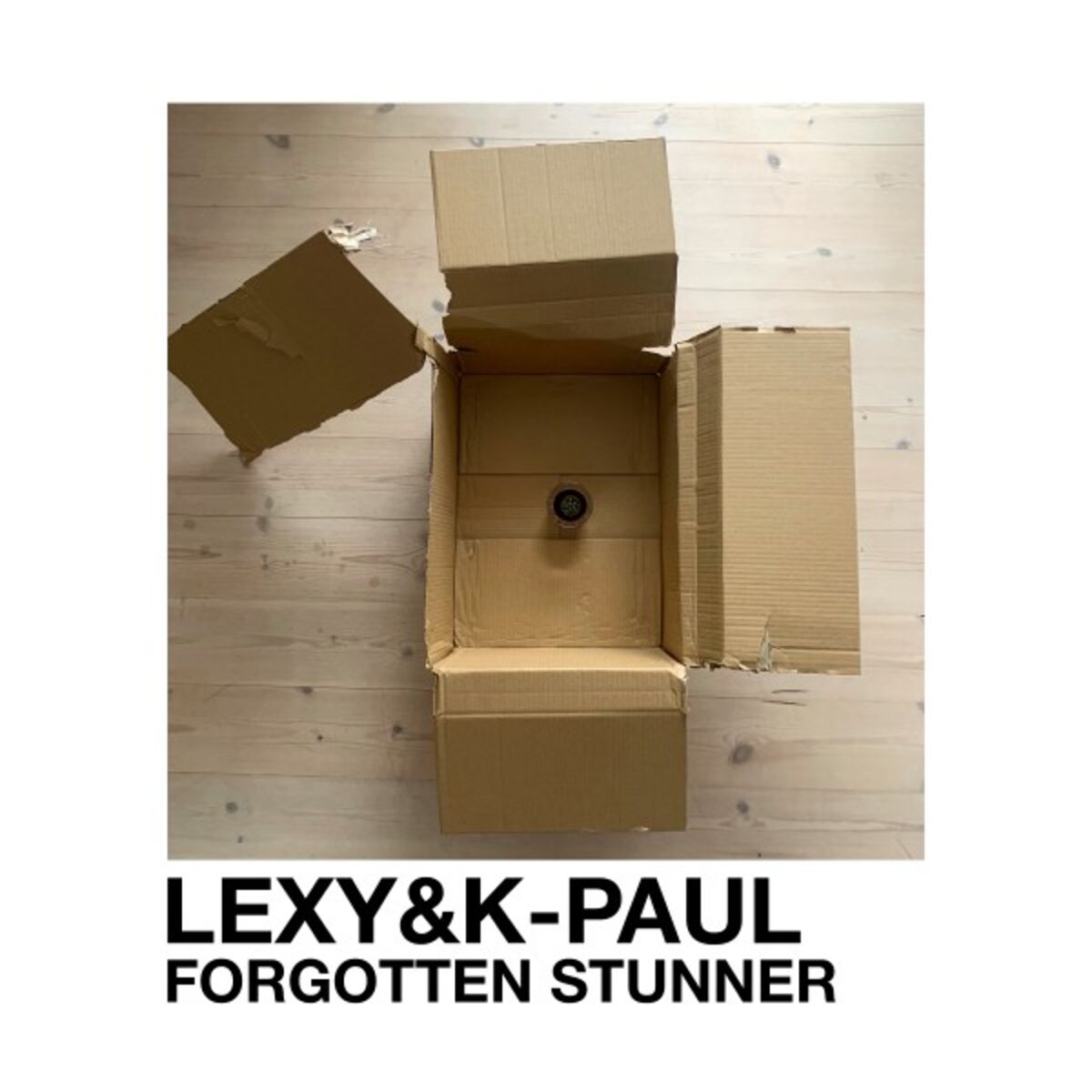 Album cover of Forgotten Stunner