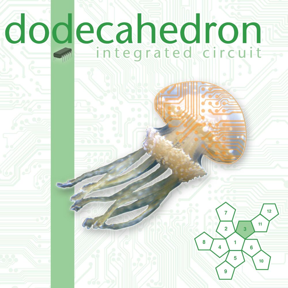 Picture of Integrated Circuit
