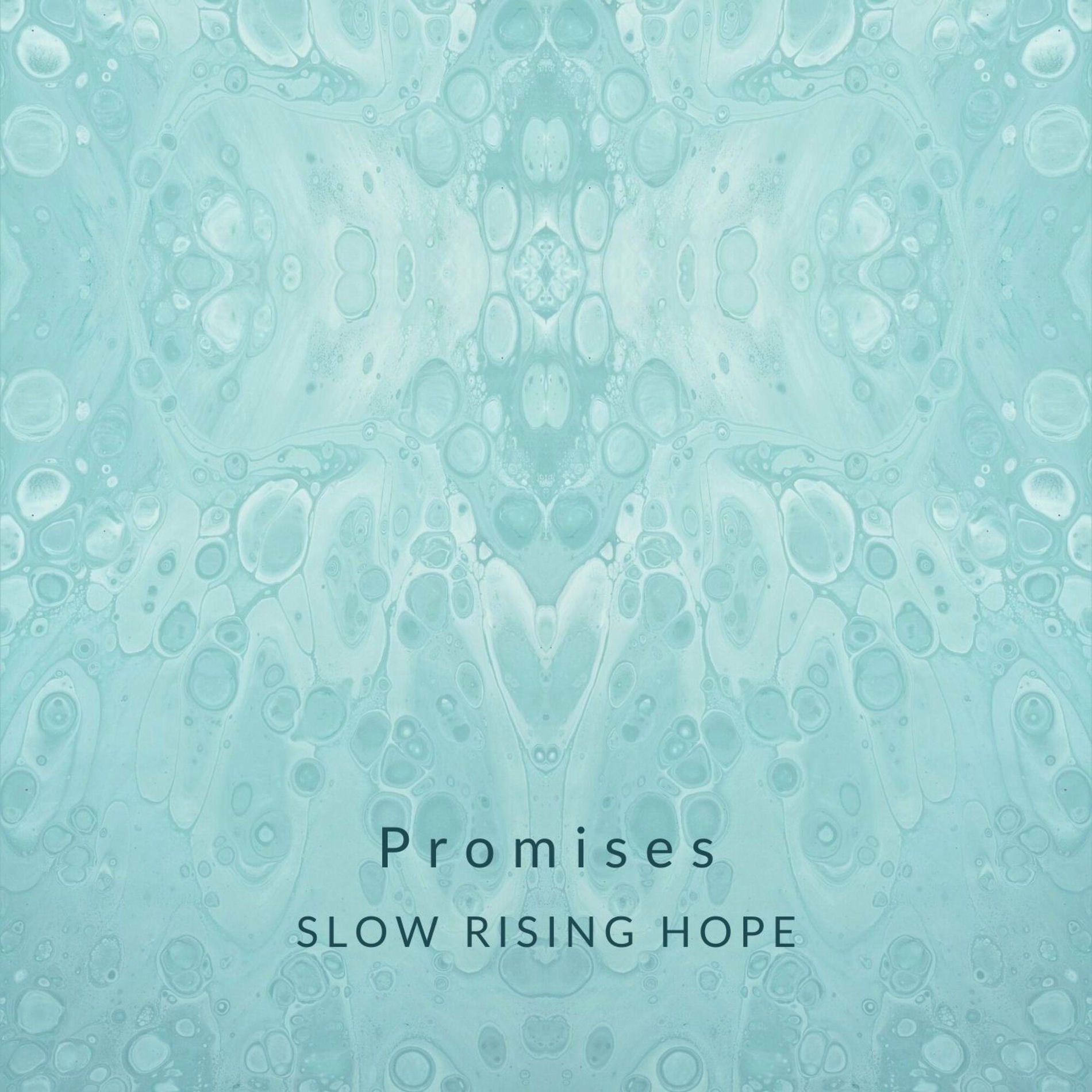 Album cover of Promises