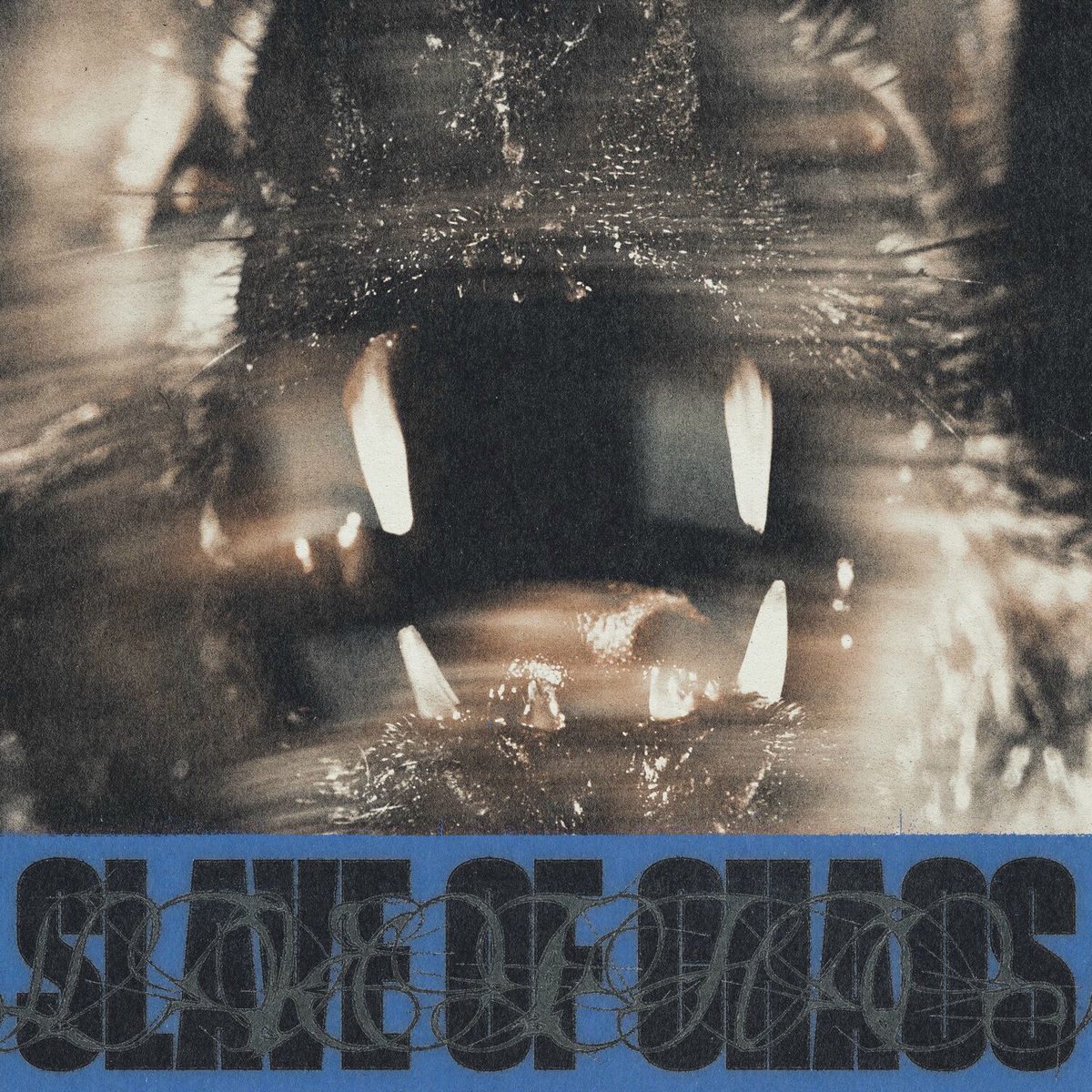 Album cover of Slave Of Chaos