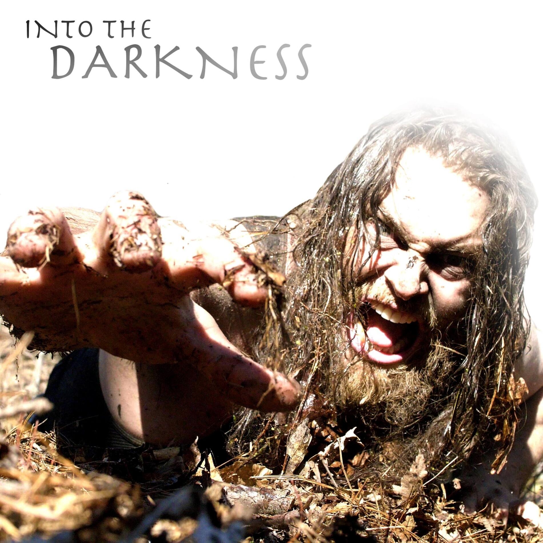 Album cover of Into the Darkness