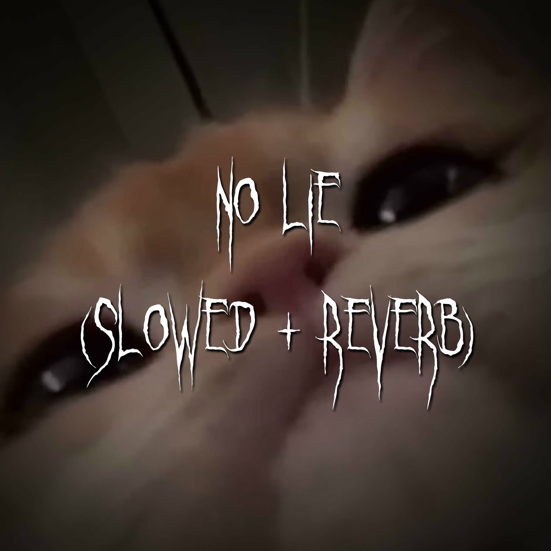 Album cover of no lie
