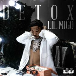 Cover of Detox