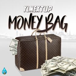 Cover of Money Bags