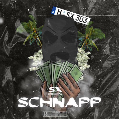 Schnapp sleeve