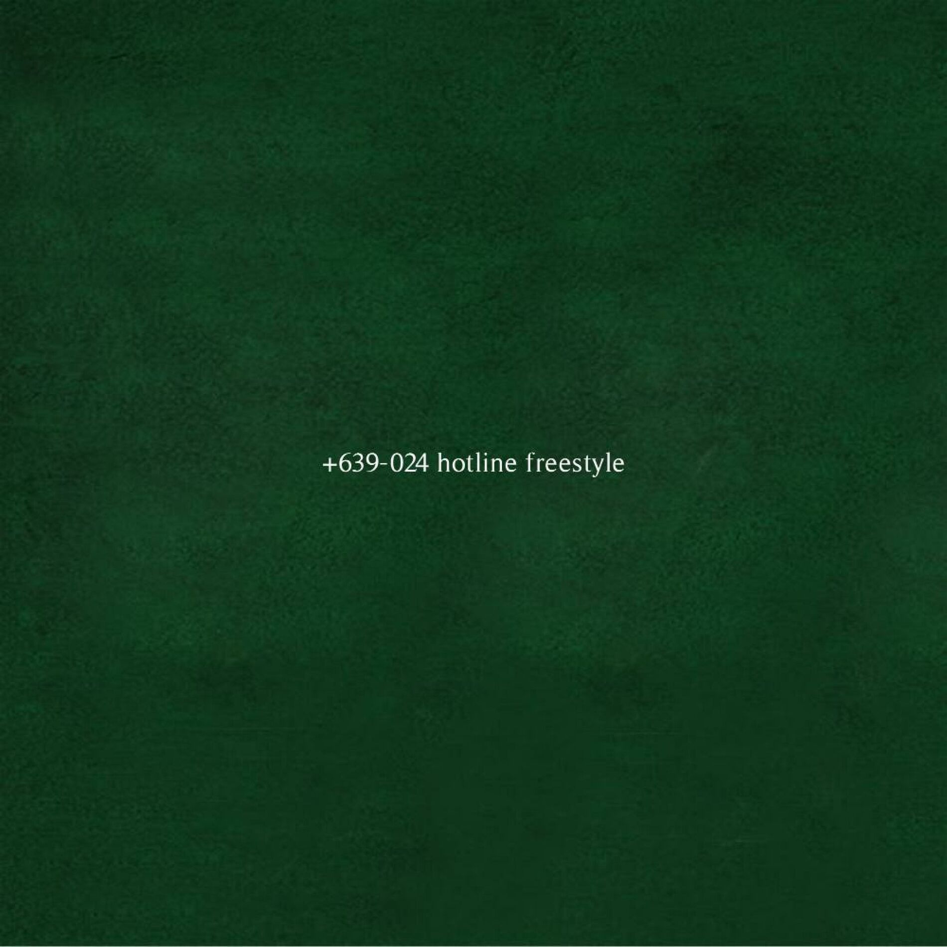 Album cover of +639-024 hotline freestyle (feat. Lime)
