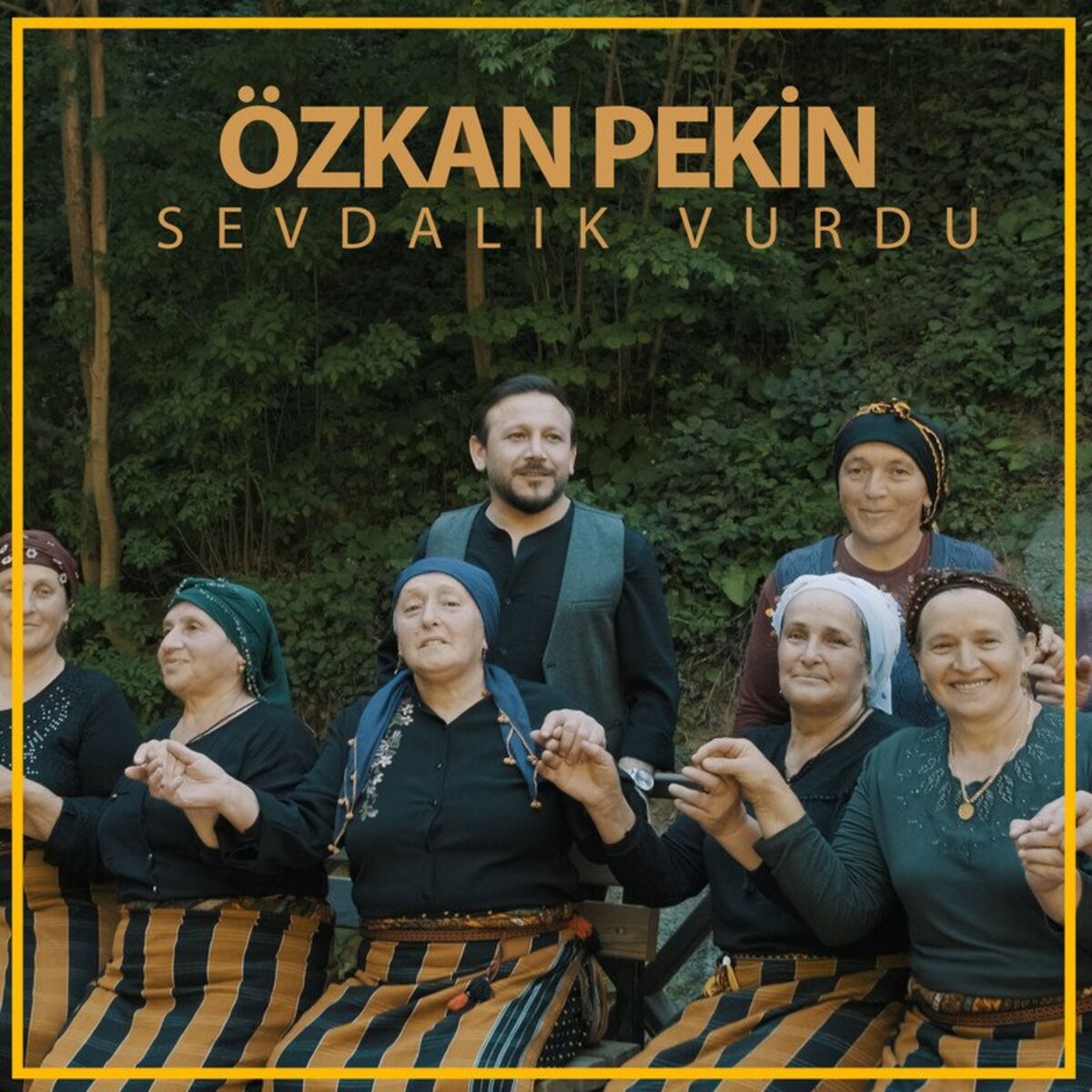 Album cover of Sevdalık Vurdu