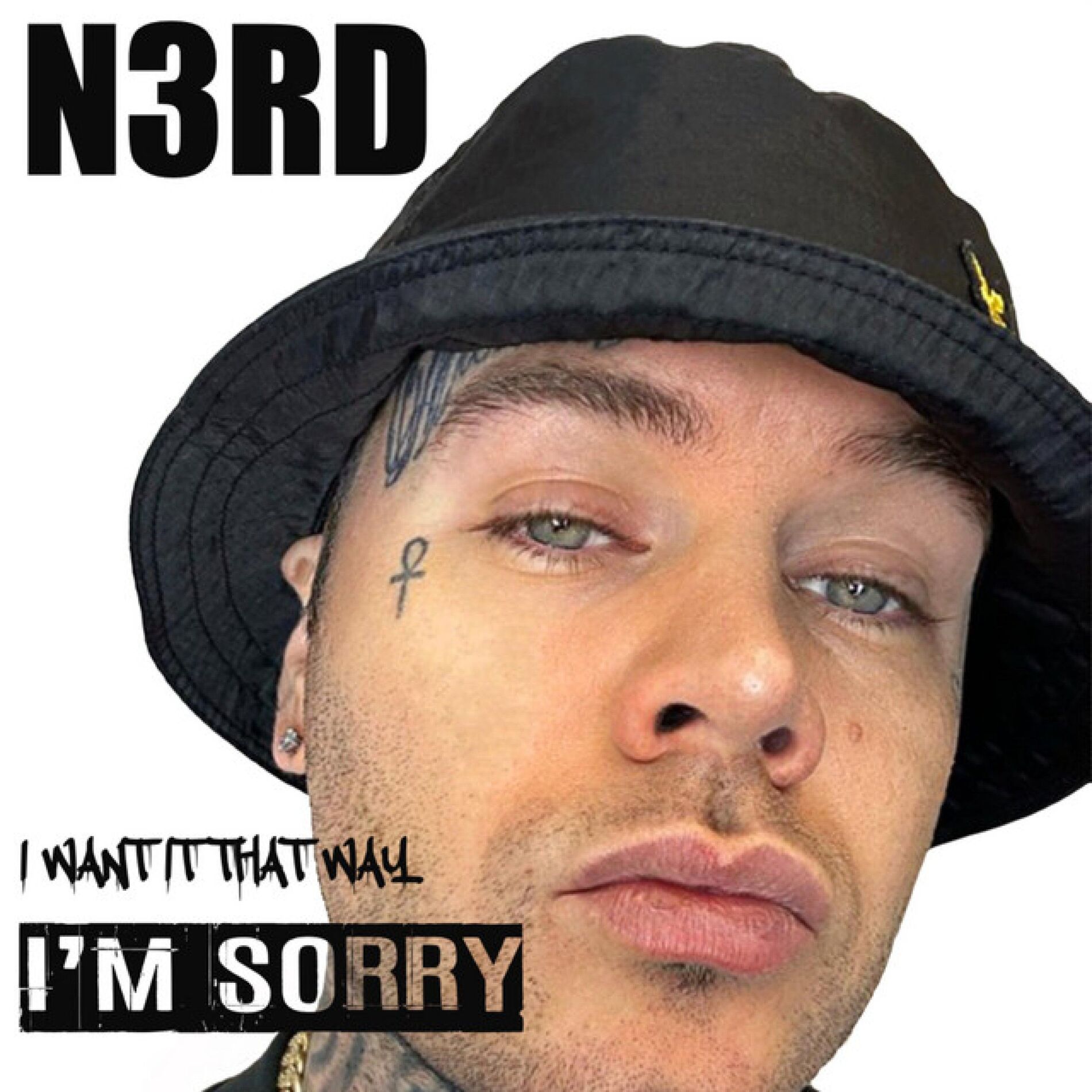 Album cover of I WANT IT THAT WAY (IM SORRY)